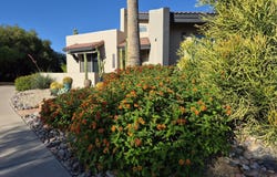 18409 E HORSESHOE Circle, Rio Verde, AZ 85263