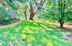 1620 SW Baldwin Drive, Pullman, WA 99163