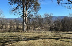 MILL CREEK ROAD, LURAY, VA 22835