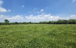 000 Wolfe Drive, Mountain Grove, MO 65711