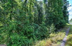 20 Tuba, Cartersville, GA 30120