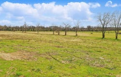 Tbd Lot 7 North Lake Drive, Weatherford, TX 76085