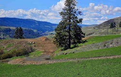 Lot 5 Quiet Hills Lane, Lenore, ID 83541