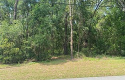 1191 E Bismark Street, Hernando, FL 34442