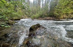 33 Timber Meadows Lane, Trout Creek, MT 59874