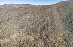 Tbd Hunter Drive, Saltville, VA 24370