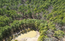 185117 West Sherman Road, Moyers, OK 74523