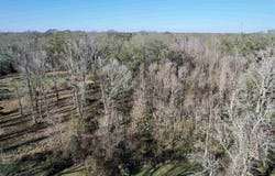 42320 Denver Hurst Rd, Gonzales, LA 70737