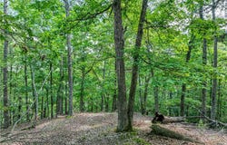E Van Buren, Eureka Springs, AR 72632