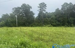 196 County Road 230, Hollywood, AL 35752