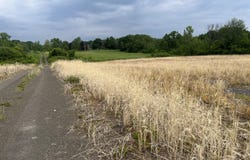 000 School House Rd Road, Stuyvesant, NY 12173