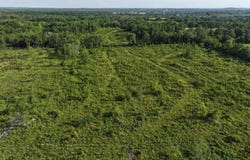 000 Brannon Road, Greenbrier, AR 72058