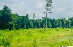 0000 Santa Anita Road, Cheraw, SC 29520