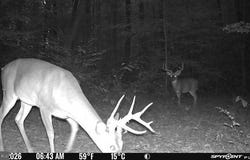 WATSON Road, BURR HILL, VA 22433