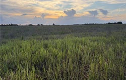 Rest Haven Rd, Zolfo Springs, FL 33890