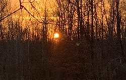 0 Steam Mill Ferry Road, Jackson, TN 38301