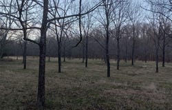 1100 Hattie Drive, Other, MO 65793