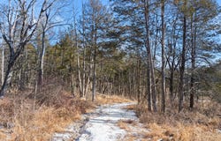 1930 Old Kings Highway, Saugerties, NY 12477