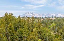 8855 Carroll Lakes Road, Woodland Park, CO 80863