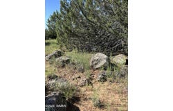Mills Ln lot: 1933, Concho, AZ 85924
