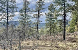 252 Starlight Place, Pagosa Springs, CO 81147