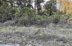 3551 Moonlight Road, Barnwell, SC 29853
