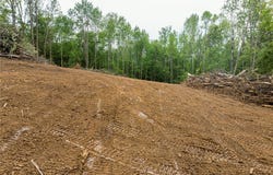 Stockdale Lane, Zanesville, OH 43701