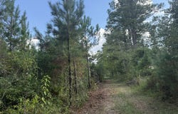 002 George Milling Road, Cuthbert, GA 39840
