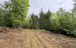 Lot 10 Mt. Jefferson Heights, Lee, ME 04455