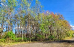 5091 Donna Marie Court, Walkertown, NC 27051