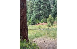 Tbd SPRUCE TRAIL LOT 2, Chama, NM 87520