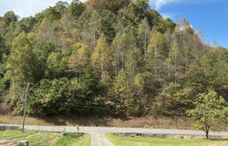 645 Light Hollow Road, Rogersville, TN 37857