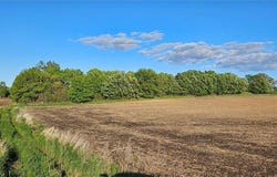 Co Rd 35, Miltona, MN 56354