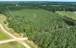 Parcel C J Runnels Rd, Petal, MS 39465