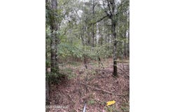 00 Dunn Road, Terry, MS 39170