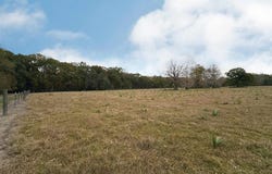 45538 Doc Ln, St Amant, LA 70774