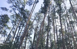153 Oswell Brinson Road lot: 2, Merritt, NC 28556