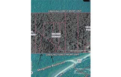 Par 7 Wildwood Lane, Grayling, MI 49738