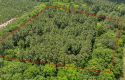 1301 Bay Shadow Drive, Manning, SC 29102