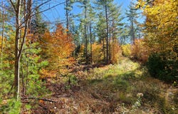 M13 L55 Holman Road, Peru, ME 04290
