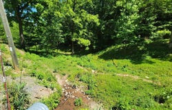 Tract 7 Sandy Valley Rd, Rogersville, TN 37857