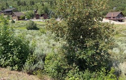 1335 N BROAD Rd, Garden City, UT 84028