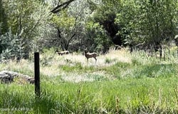 291 MUSTANG Lane, Bloomfield, NM 87413