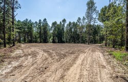 Hwy 121 lot: 3, Blackshear, GA 31516