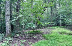 Tbd Upper Cherrytown Road, Accord, NY 12404