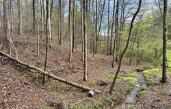 170 Lone Mountain Rd, Andersonville, TN 37705