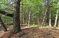 1248 Buck Trl, Woodlawn, VA 24381