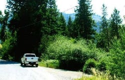 NKA TAMARACK RIDGE Rd, Cataldo, ID 83810