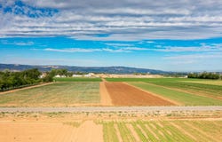 3149 C Road, Grand Junction, CO 81503