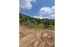0 Pepperweed, Yokuts Valley, CA 93675